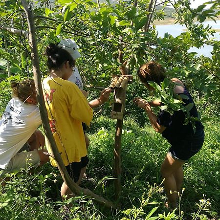 Lavievulinh Ecolodge Vũ Linh Εξωτερικό φωτογραφία